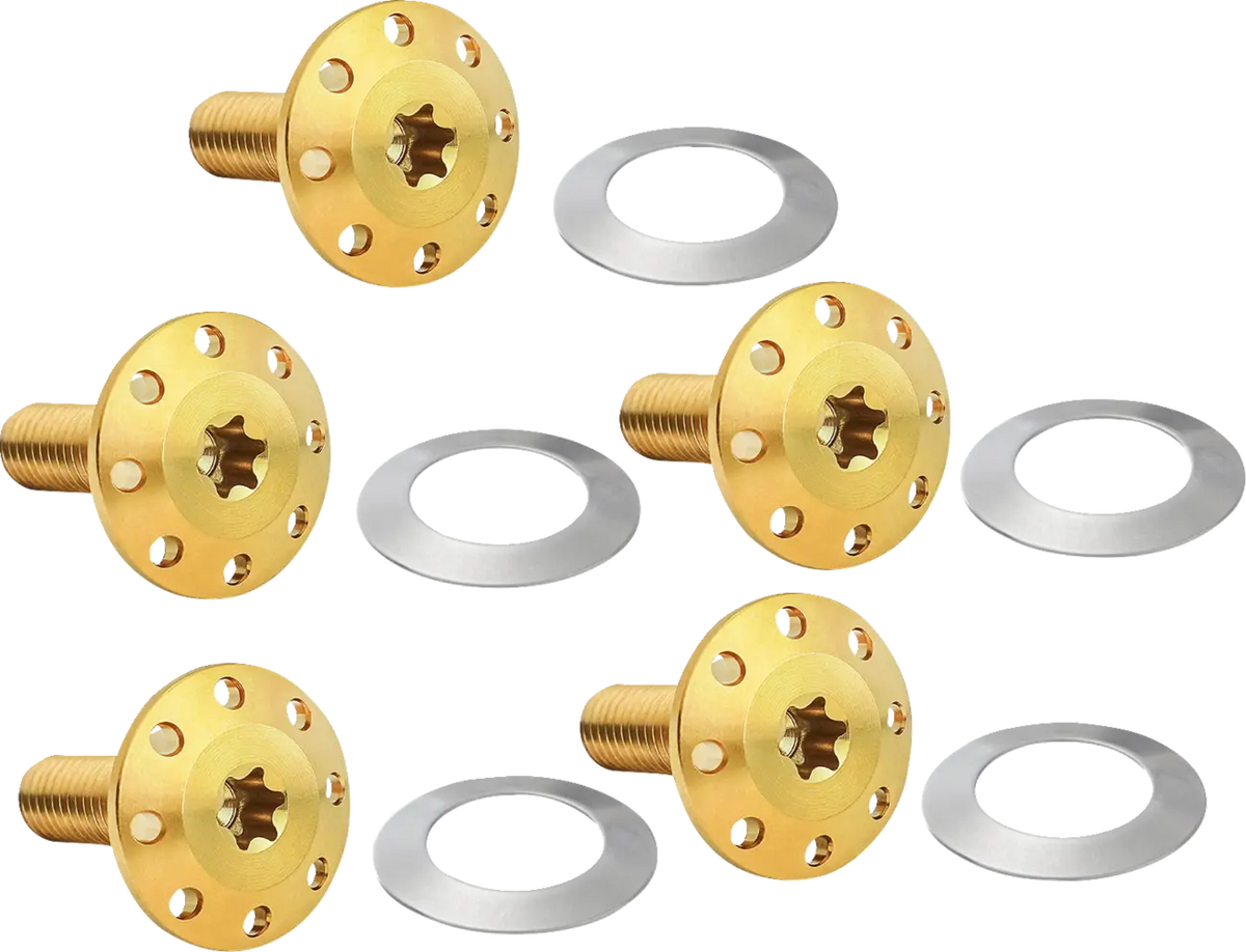Gold Holeshot Frontrotor-Schraubensatz für Harley Davidson