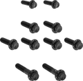 Titanium 12-point transmission side cover bolts for Harley Davidson Twin Cam