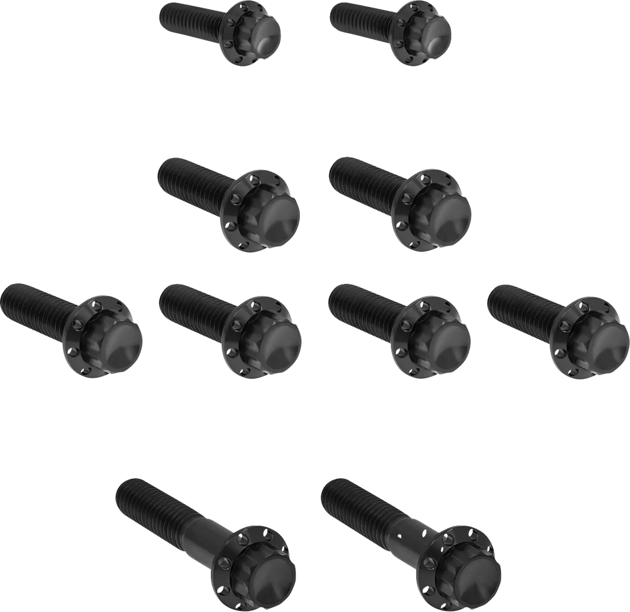 Titanium 12-point transmission side cover bolts for Harley Davidson Twin Cam