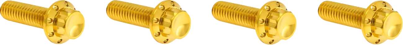 Titanium Gold Bolt Kit Top Transmission Cover for Harley Davidson M8 24-25