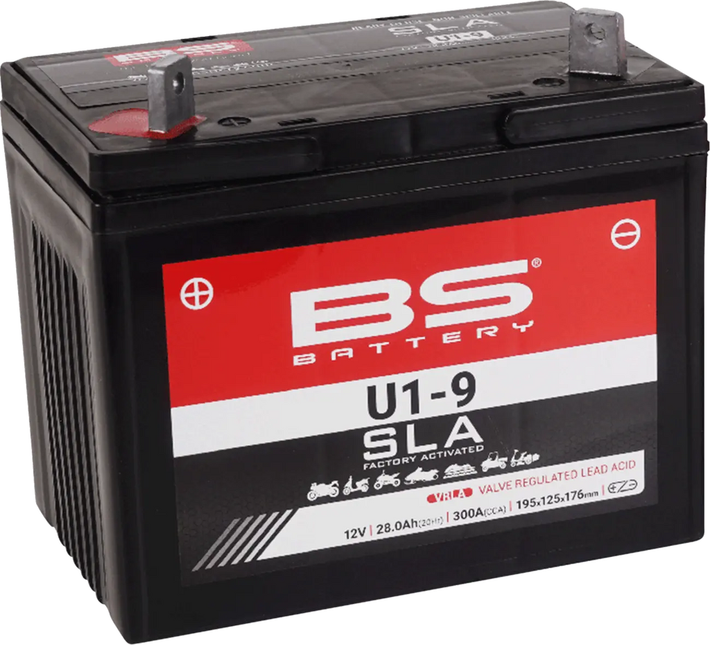 AGM SLA BS U1-9 Battery for ATV/UTV