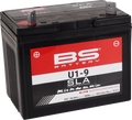 AGM SLA BS U1-9 Battery for ATV/UTV