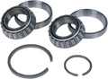 Kit Rodamientos De Cigüeñal Para Harley-Davidson 9028