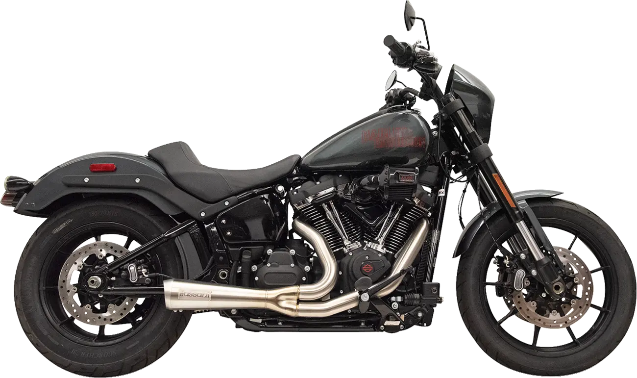 Die Ripper 2-in-1 Edelstahl-Auspuffanlage für Harley Davidson M8 Softail