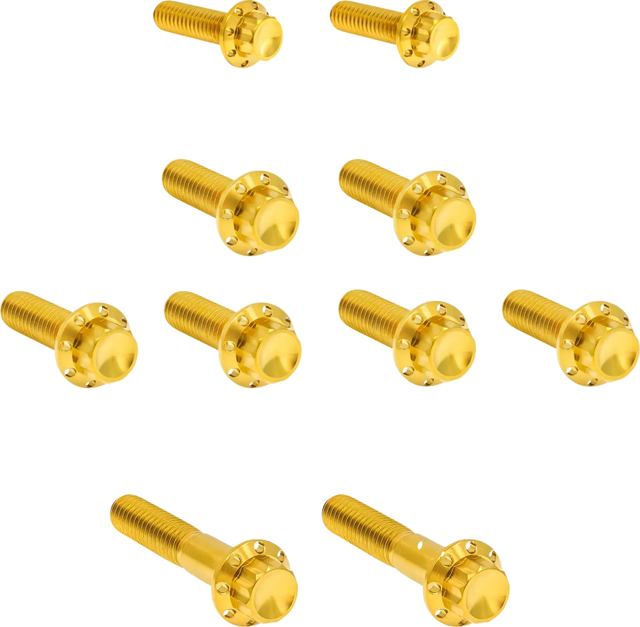 Titanium 12-point transmission side cover bolts for Harley Davidson Twin Cam