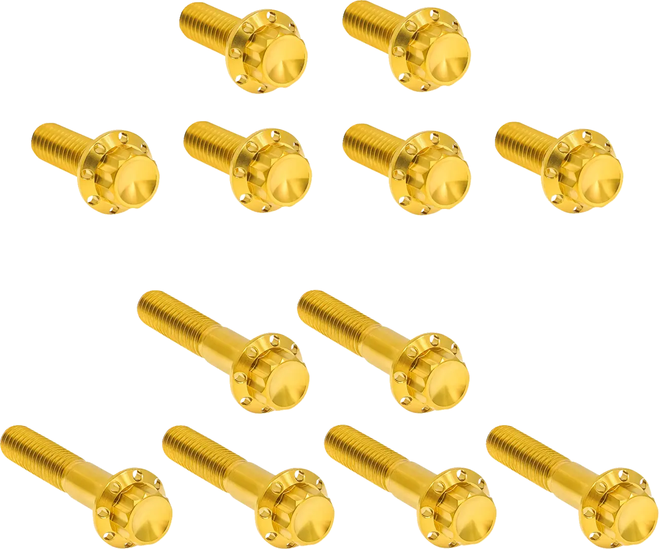 Harley Davidson Twin Cam gold titanium 12-point rocker box bolts