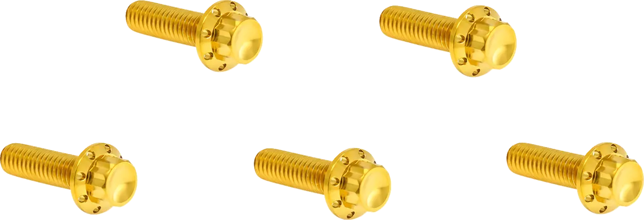 Titanium 12-point Derby Cover Screws for Harley Davidson M8
