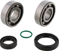Off-road Motorcycle Crankshaft Bearing and Seal Kit