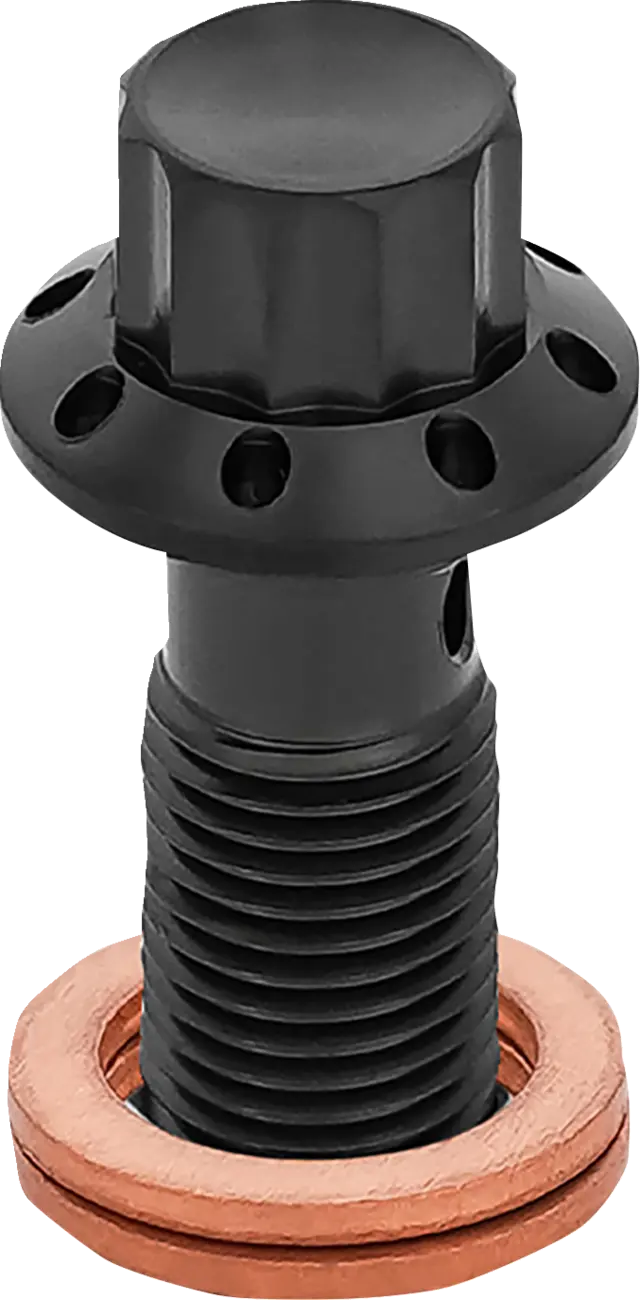 Tornillo banjo Negro 12 puntos 3/8-24 para Harley Davidson FLT 00-07