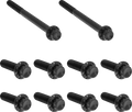 Titanium Black Trap Door Side Transmission Bolt Kit for Harley Davidson M8 17-20 Hydro
