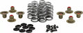 Beehive Valve™ Valve Spring Kit for Harley-Davidson