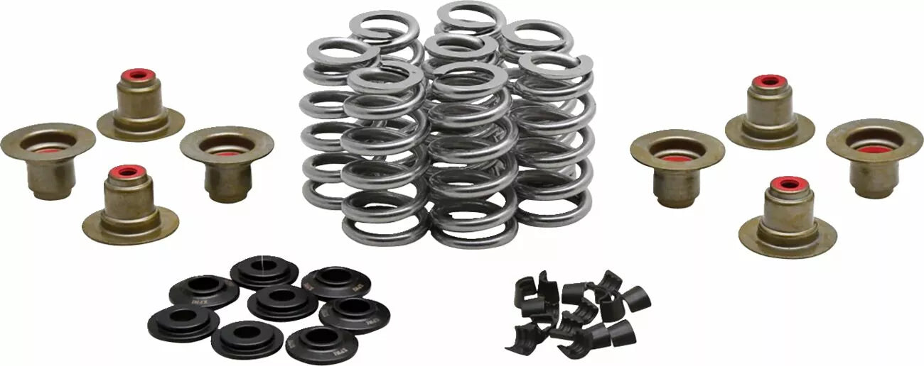 Beehive Valve™ Valve Spring Kit for Harley-Davidson