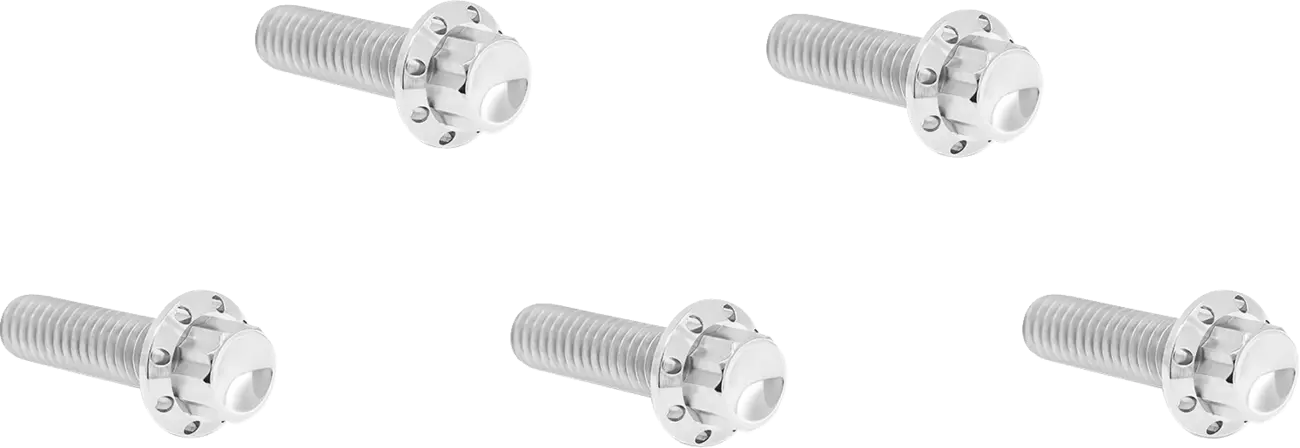 Titanium 12-point Derby cover screws for Harley Davidson