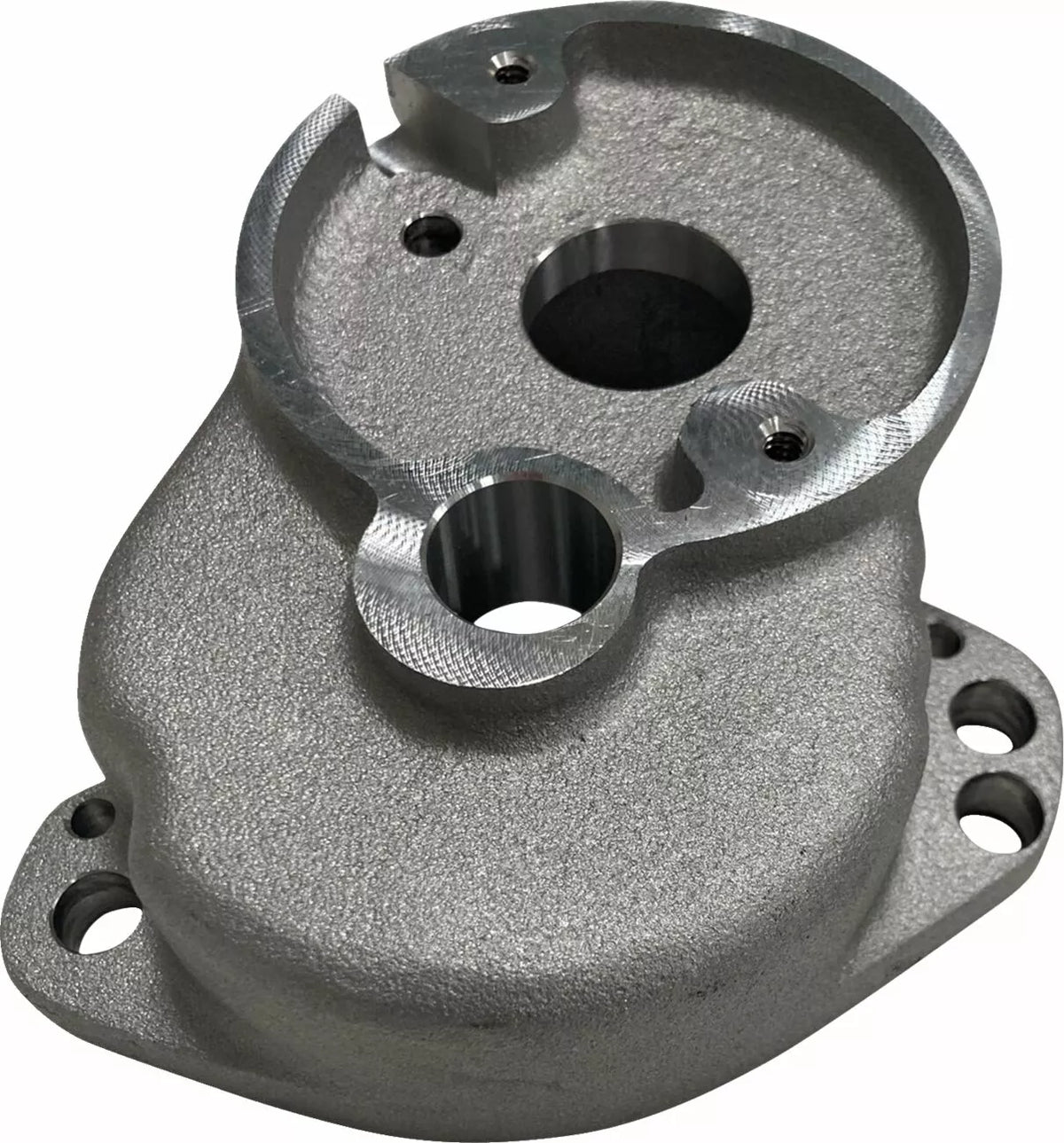 Choke-Abdeckung für Harley Davidson 81-83 FLT/FXR