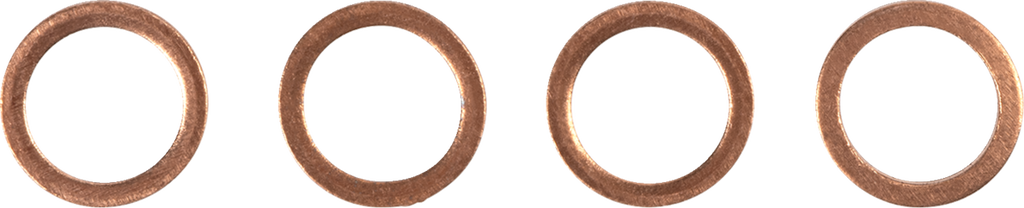 Edelstahlflex-Bremsleitungen für Gasgas MC 450F 24