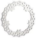 Front Brake Disc for Harley Davidson