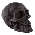 Genuine Black Skull For Harley Davidson