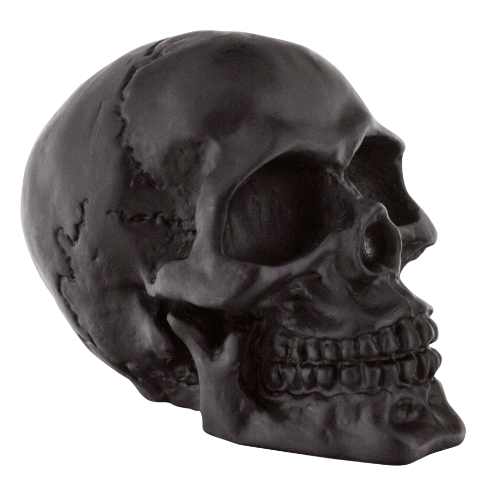 Genuine Black Skull For Harley Davidson