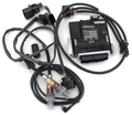 Inyección De Combustible Thundermax Para Harley Davidson