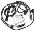 Inyección De Combustible Thundermax Para Harley Davidson