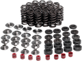 KIBBLEWHITE LIGHTWEIGHT RACING VALVE SPRING KITS VALVE SPRING KIT YZFR1