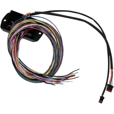 CAN-BUS CONTROLLERS FOR HARLEY-DAVIDSON