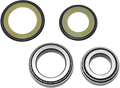 ALL BALLS STEERING STEM BEARINGS ALL BALLS STRG STEM BRGS