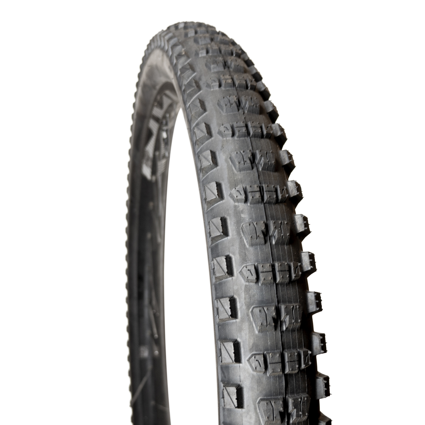 Zeppelin Tires for E-Bike