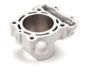 Cilindro Airsal Kawasaki KX F 250 2009 Ø77 AIRSAL 3420277