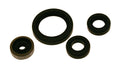 Kit retenes de motor Centauro Sherco 912A001SR CENTAURO 912A001SR