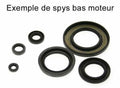 Kit retenes de motor SYM FIDDLE II/ORBIT II 125 SYMPHONY 125 10- 930A008SR CENTAURO 930A008SR