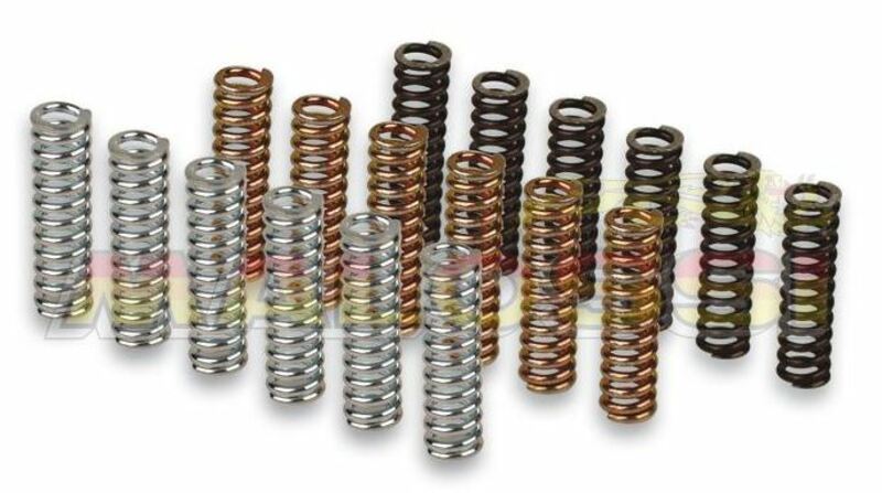 Kit muelles de embrague Malossi Racing Yamaha T-MAX 530 12-15 2915602 MALOSSI 2915602