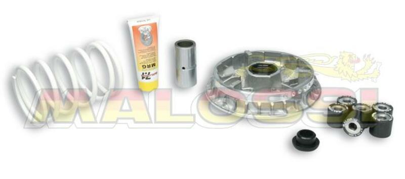 Variador Multivar Malossi KYMCO X-CITING 500 MALOSSI 5114264T