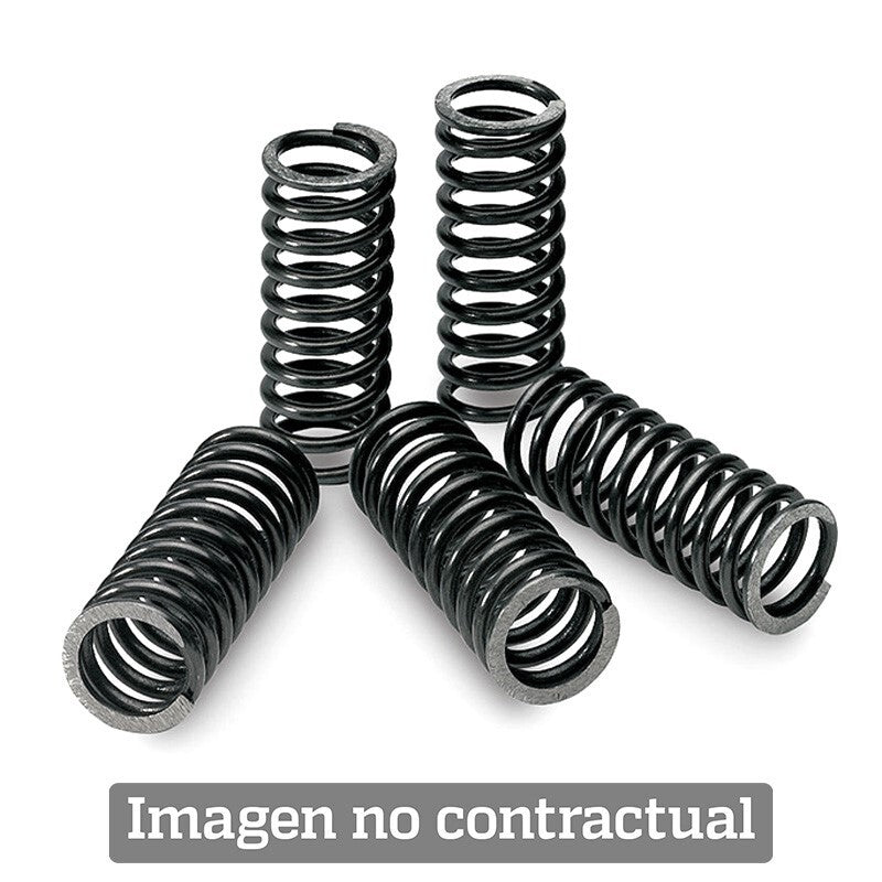 Kit de Muelles de Embrague Honda TECNIUM SPR0141