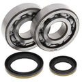 Kit rodamientos y retenes de cigüeñal All Balls 24-1021 ALL BALLS 24-1021