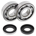 Kit rodamientos de cigüeñal All Balls 24-1109 ALL BALLS 24-1109