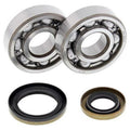 Kit rodamientos y retenes de cigüeñal All Balls 24-1110 ALL BALLS 24-1110