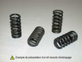Kit muelles embrague BARNETT 501-25-06043