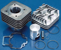 Kit Polini PIAGGIO SFERA-ZIP-FREE D.40 (1400189) POLINI 140,0189
