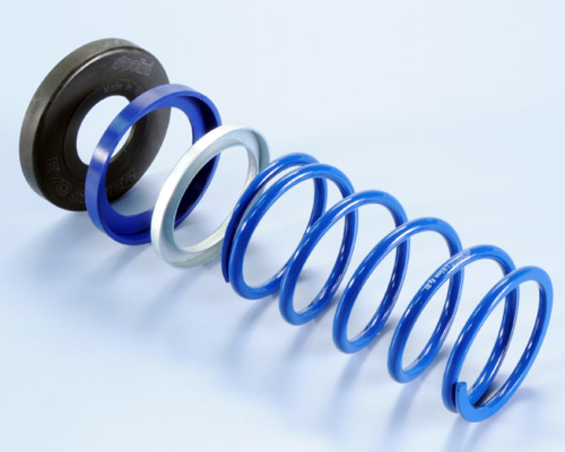 Contraresorte Polini EVO SLIDER T-MAX 500 (243096) POLINI 243096