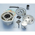 KIT POLINI MINARELLI AM6 H2O D.50 ALUMINIO POLINI 133,1008
