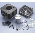 Kit Polini PIAGGIO SFERA-ZIP-FREE 50 D.47 (1400181) POLINI 140,0181