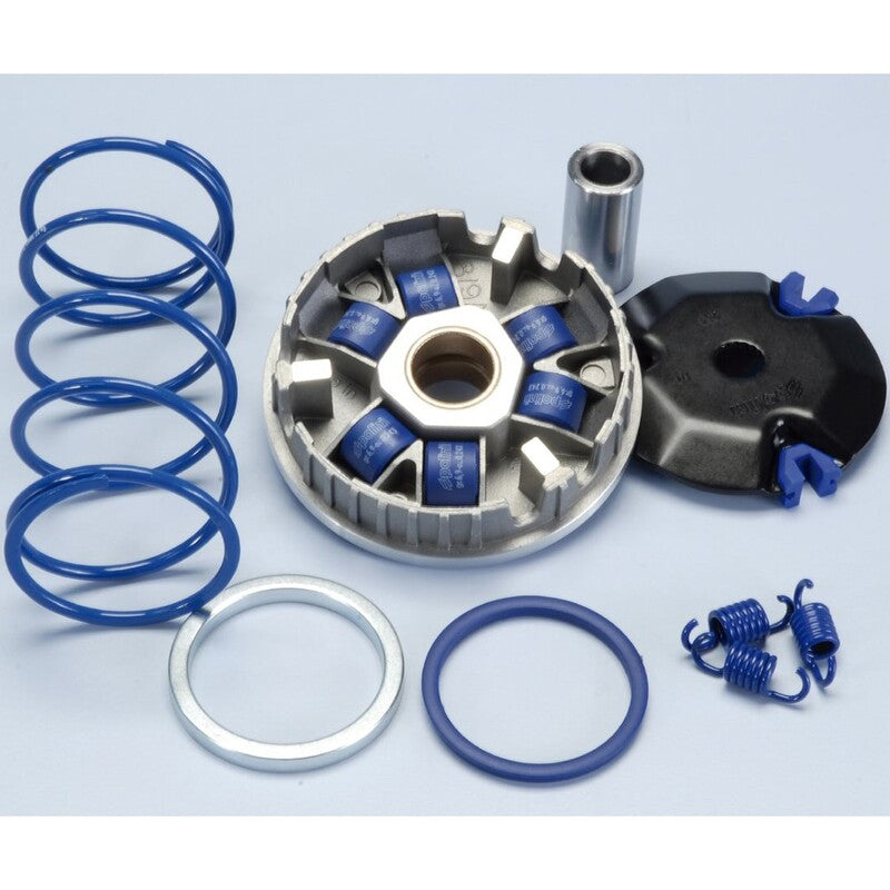 Variador Polini HI-SPEED Minarelli Jog, Aerox, Sonic Bulón D.13 POLINI 241,67