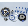 Variador Polini Hi-Speed MALAGUTI F12 (2000) (241675) POLINI 241675