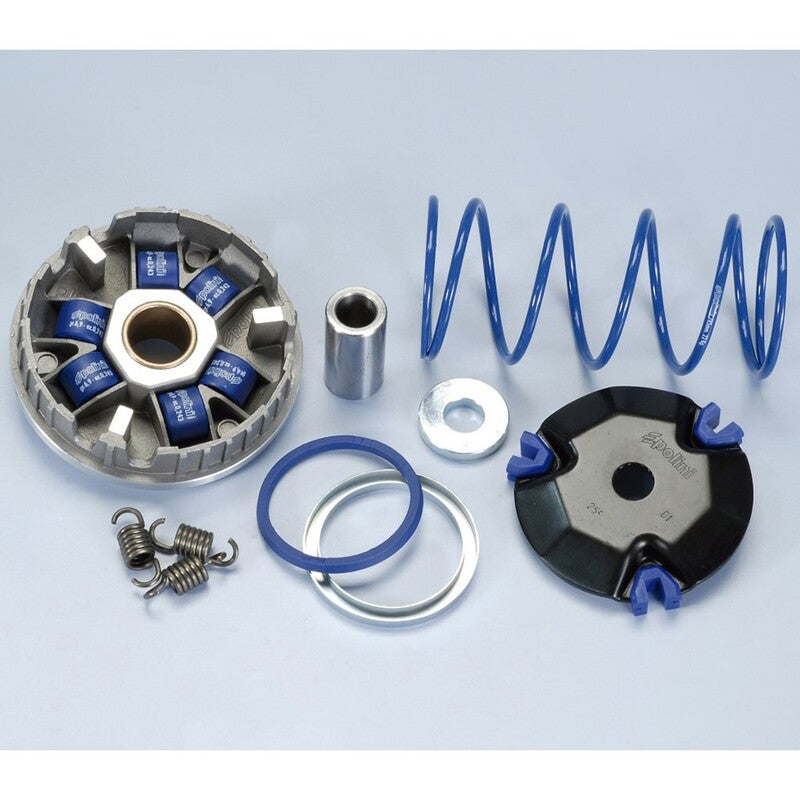 Variador Polini Hi-Speed MALAGUTI F12 (2000) (241675) POLINI 241675