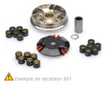 Variador JASIL S1V PEUGEOT Ludix, Trekker JASIL 6040423