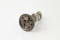 Arbol de levas HOT CAMS ESCAPE - Stage 1 Yamaha YZ450F HOT CAMS 4164-1EX