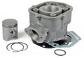 Cilindro Tecnium Derbi Euro 3 Motor Piaggio TECNIUM 303008