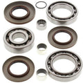 Kit All Balls de rodamientos y retenes del diferencial trasero Polaris Sportsman ALL BALLS 25-2080