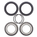 Kit All Balls de rodamientos y retenes de rueda trasera ALL BALLS 25-1507